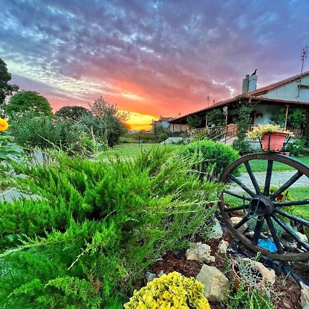 Ivonnis Garden Vila Mesimvria  Exterior foto