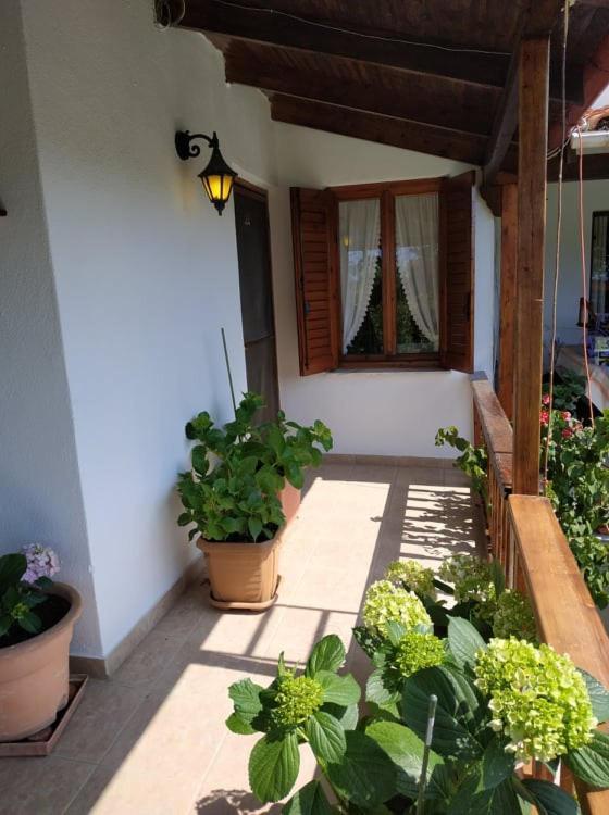 Ivonnis Garden Vila Mesimvria  Exterior foto