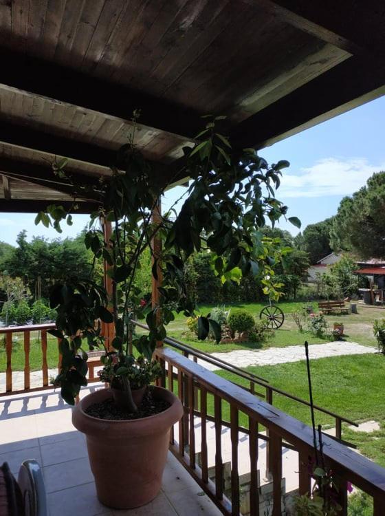 Ivonnis Garden Vila Mesimvria  Exterior foto