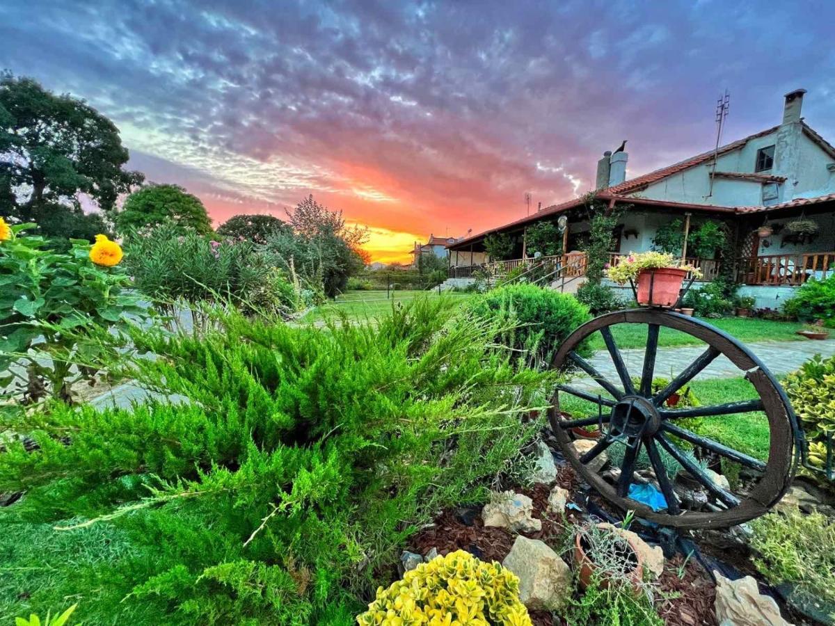 Ivonnis Garden Vila Mesimvria  Exterior foto
