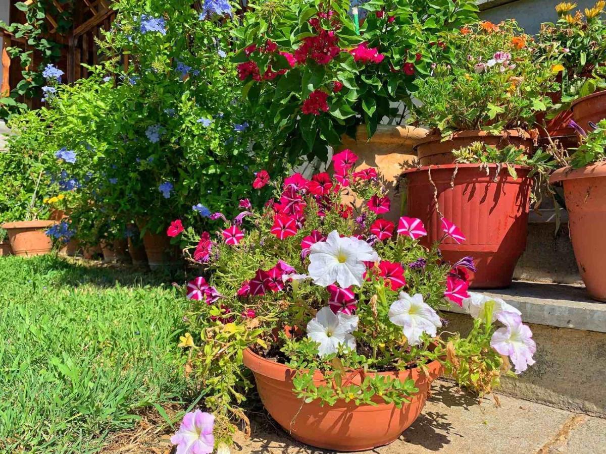Ivonnis Garden Vila Mesimvria  Exterior foto